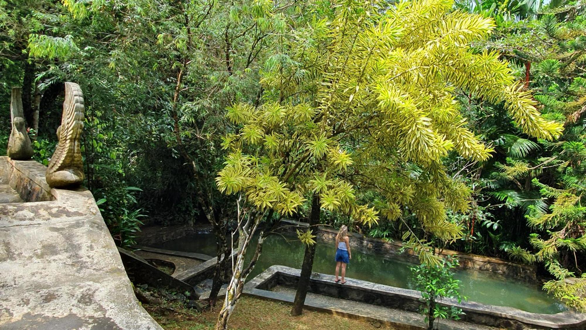 Singharaja Garden Agro Eco Lodge Pelawatta  Luaran gambar
