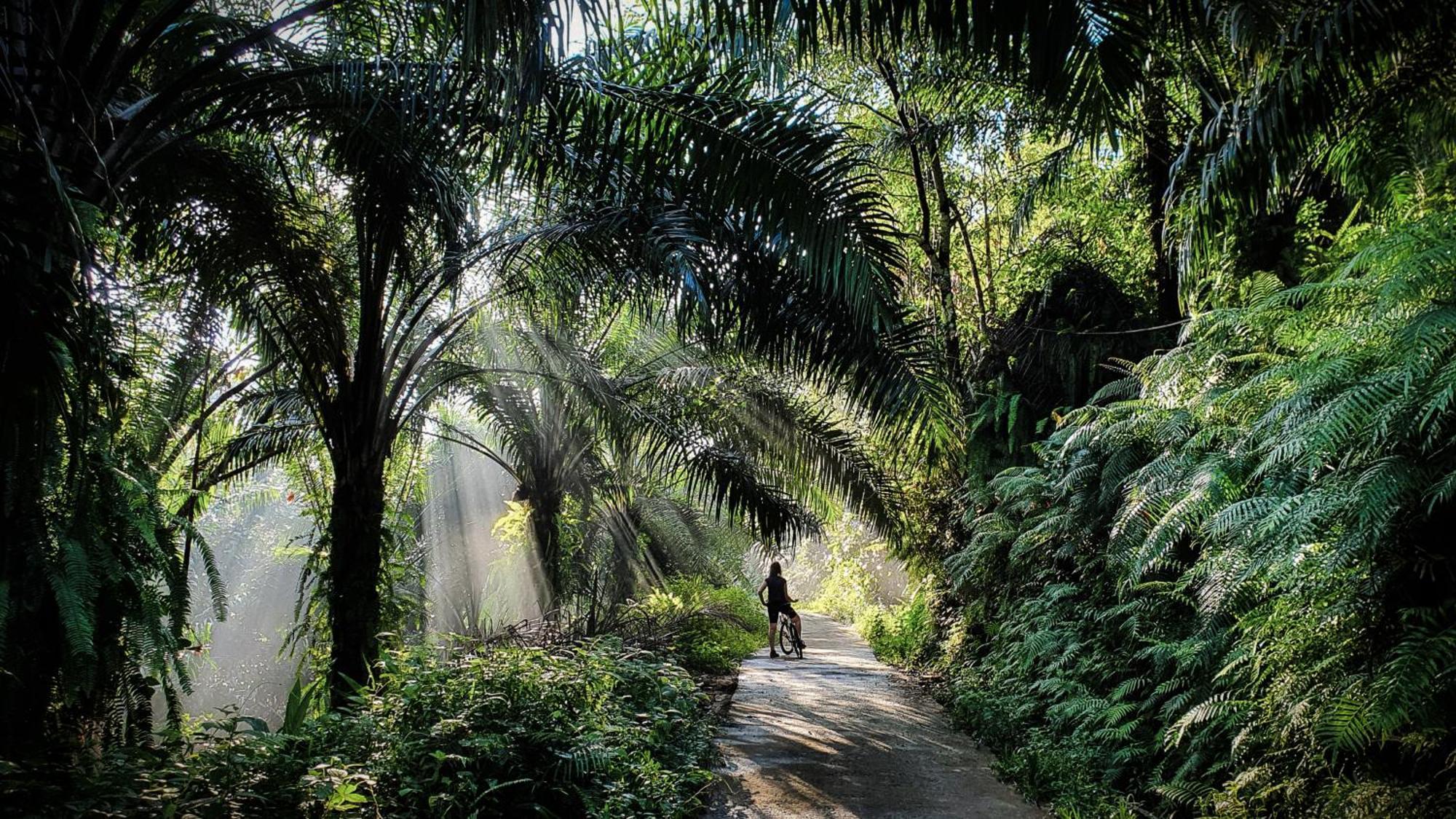 Singharaja Garden Agro Eco Lodge Pelawatta  Luaran gambar