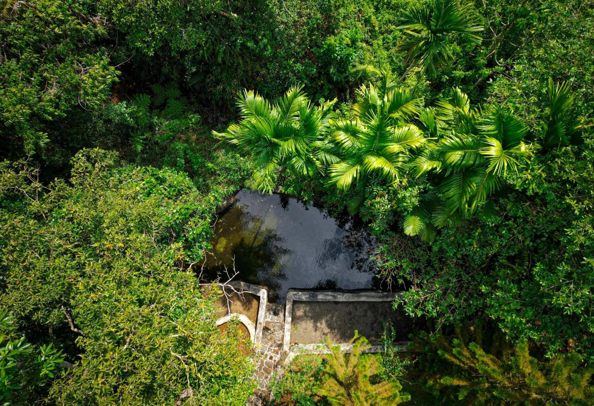 Singharaja Garden Agro Eco Lodge Pelawatta  Luaran gambar