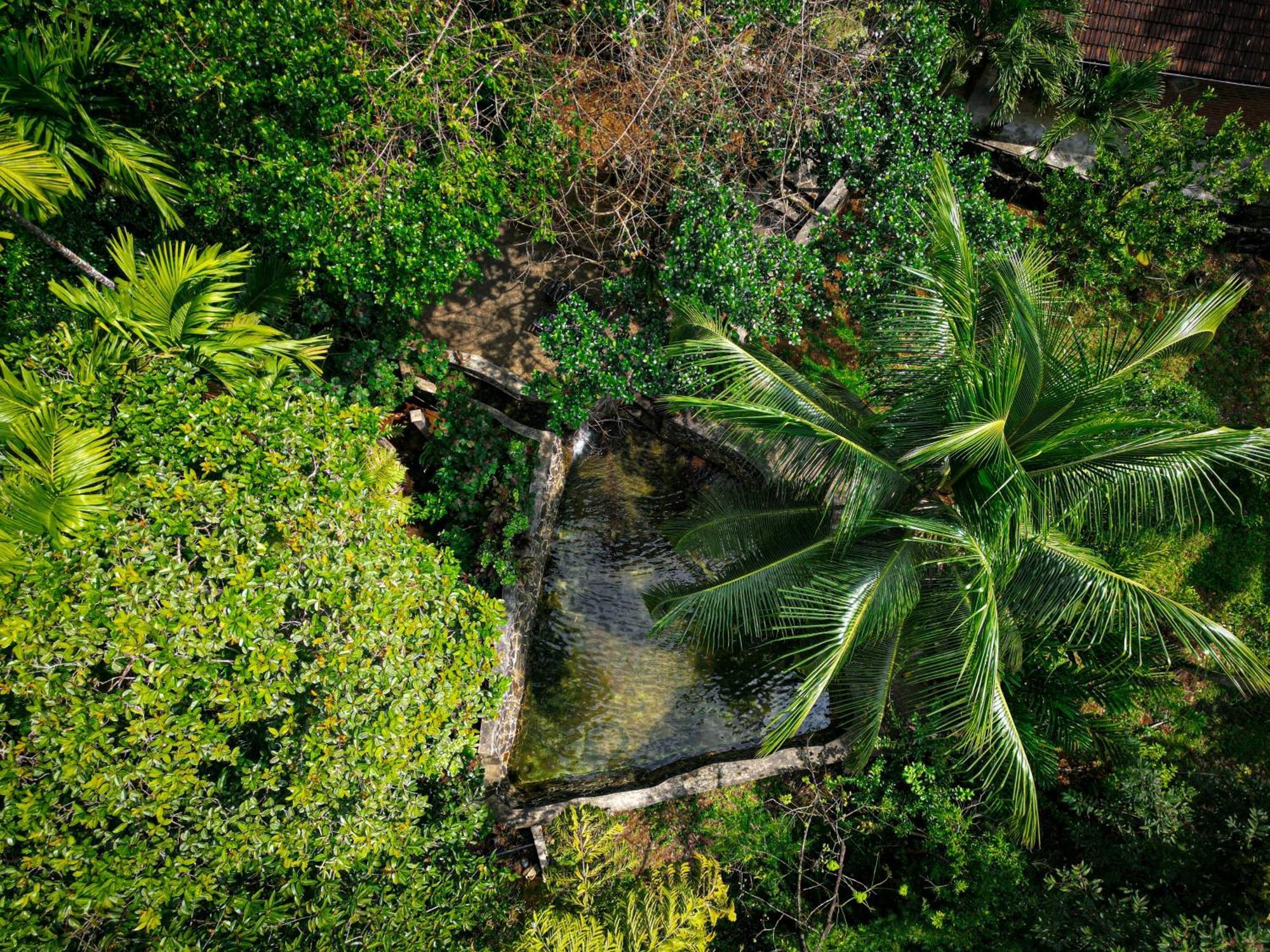 Singharaja Garden Agro Eco Lodge Pelawatta  Luaran gambar