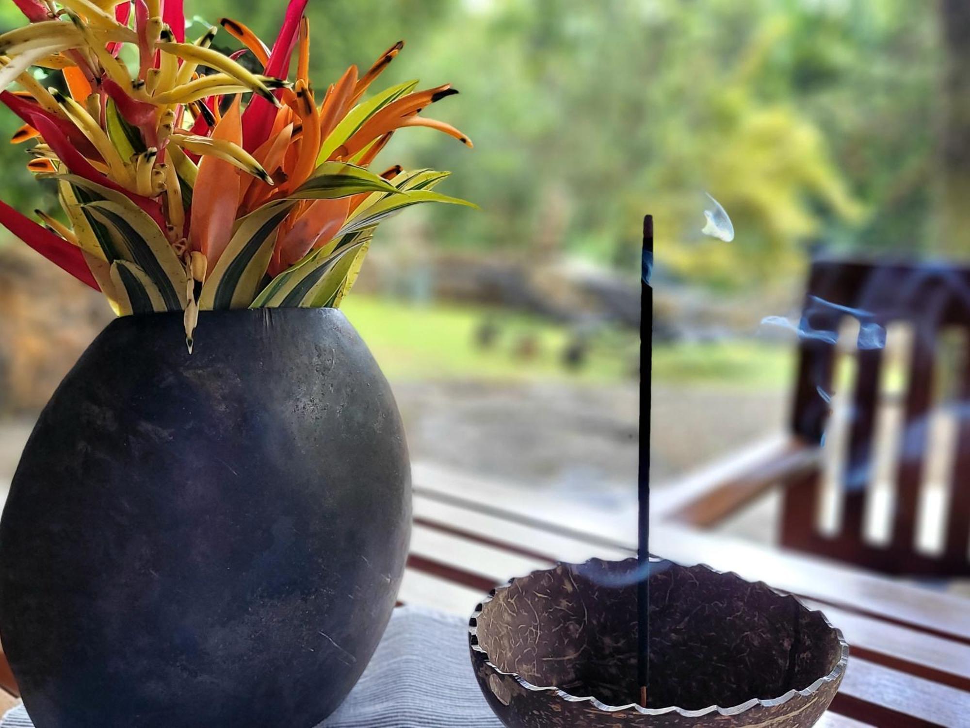 Singharaja Garden Agro Eco Lodge Pelawatta  Bilik gambar