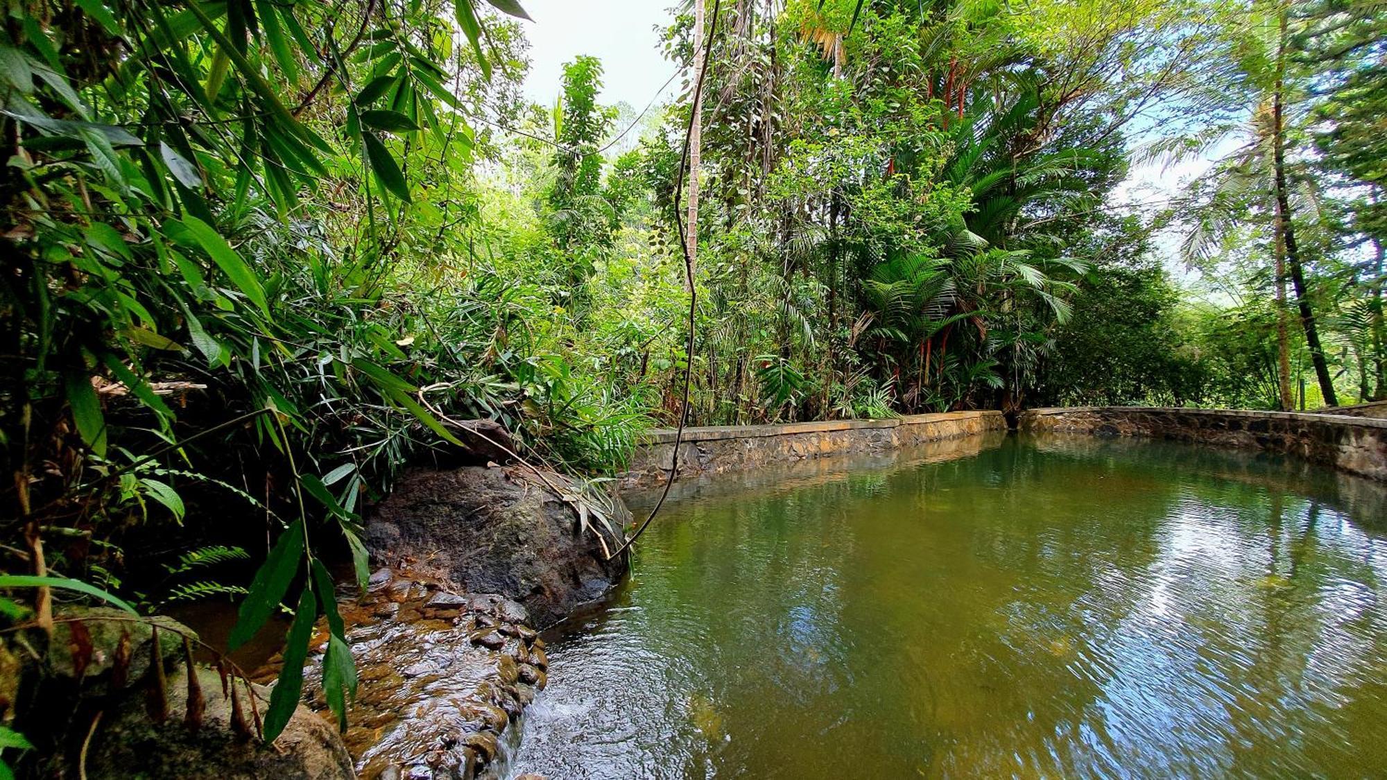 Singharaja Garden Agro Eco Lodge Pelawatta  Bilik gambar